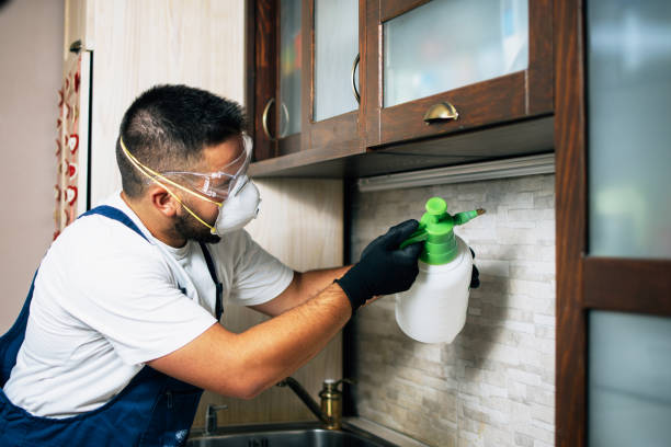 Best Local Pest Control Services  in Forest, MS
