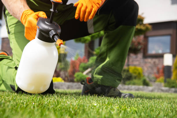 Best Affordable Pest Control Services  in Forest, MS