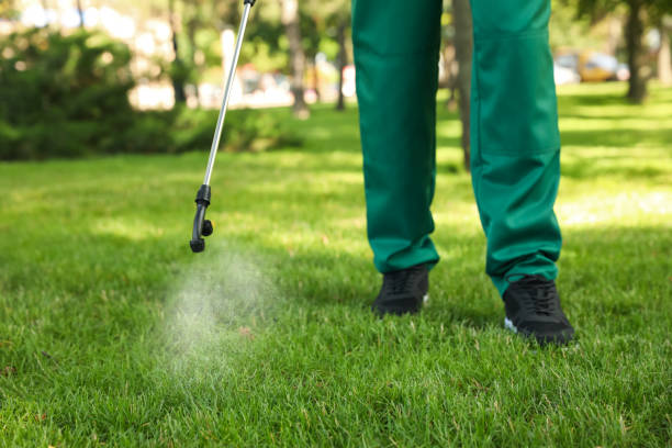 Best Pest Removal Services  in Forest, MS