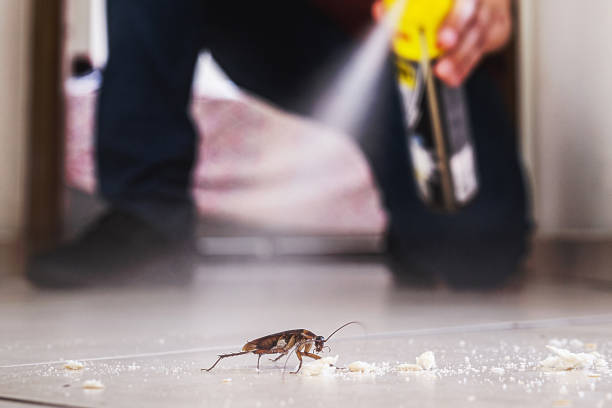 Best Commercial Pest Control Services  in Forest, MS