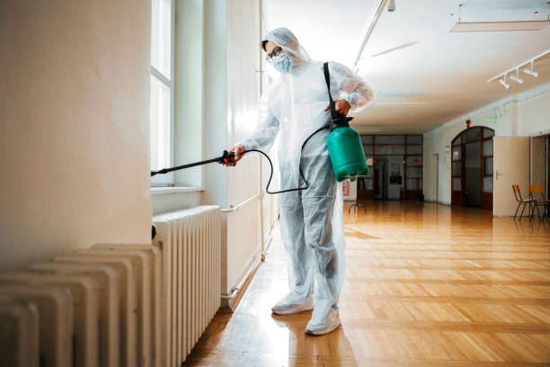 Best Best Pest Control Companies  in Forest, MS